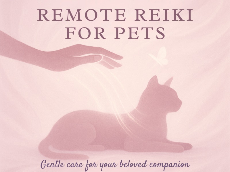 Remote Reiki for Pets