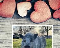 5"x7" Spiral Notebook