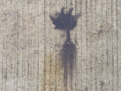 poeticcatalog ofvirtualities's store Logo