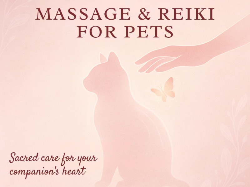 Massage & Reiki for Pets