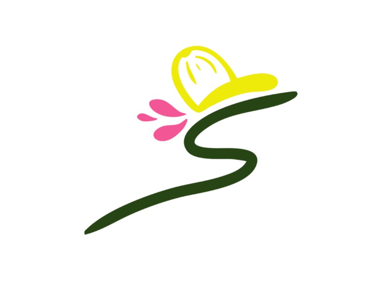 SHAPÓ! Consultora