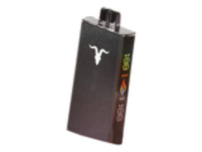 IGNITE V250 25000 PUFFS